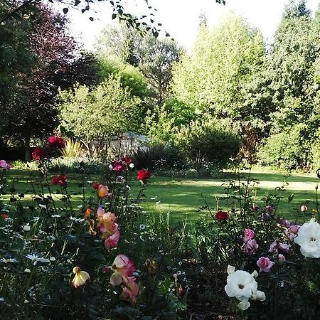 Treelands Estate Дюлстром Екстер'єр фото